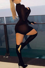 Mesh Long Sleeve Garter Bodycon Dress