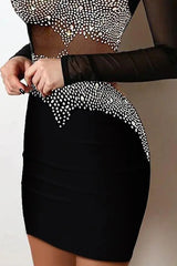 Rhinestone Decor Sheer Mesh Bodycon Dress