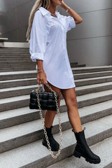 Long Sleeve Button Down Shirt Dress