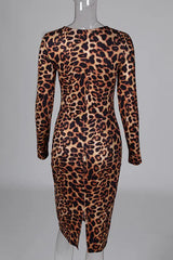 Leopard Print Long Sleeve Midi Dress