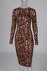 Leopard Print Long Sleeve Midi Dress