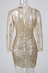 Ruched Design Sequin Bodycon Dress