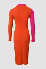 Colorblock Zip Detail Long Sleeve Bodycon Dress