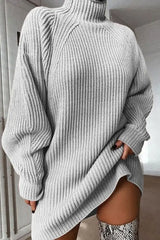 High Neck Chunky Knit Sweater Dress